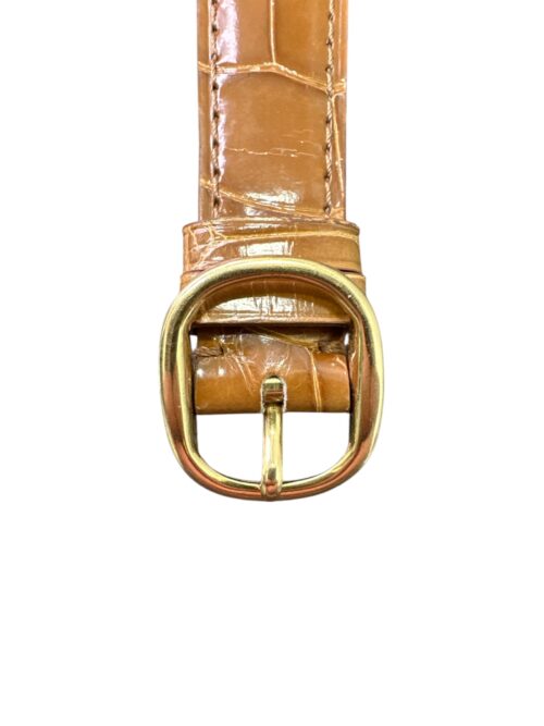 CSKU9017 Buckle (1)